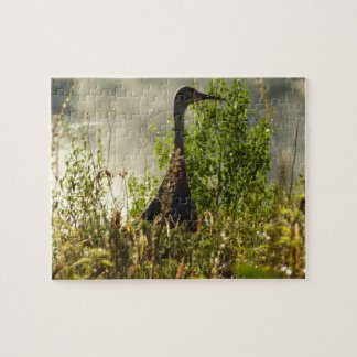 Sandhill Crane at Moose Ponds in Grand Teton Jigsaw Puzzle