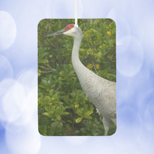 Sandhill Crane Bird Greenery Photograph Car Air Freshener