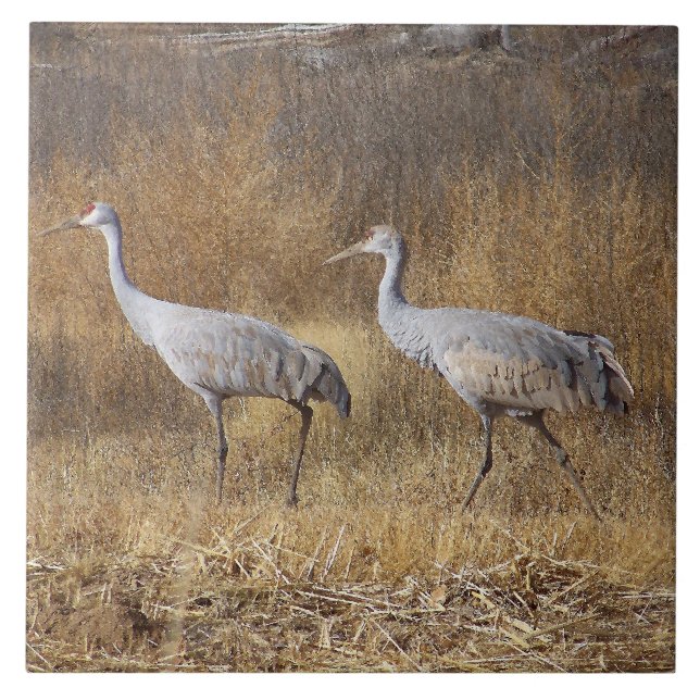 Sandhill Crane Birds Wildlife Animals Tile (Front)