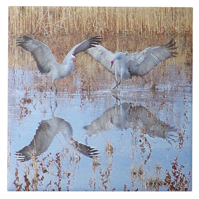 Sandhill Crane Birds Wildlife Animals Tile (Front)