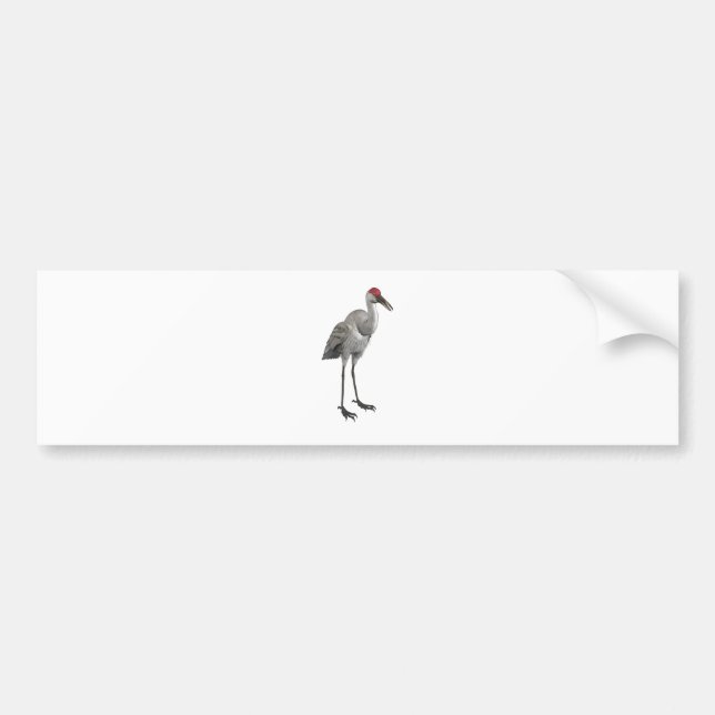 Sandhill Crane Bumper Sticker (Front)
