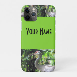 Sandhill crane Case-Mate iPhone case