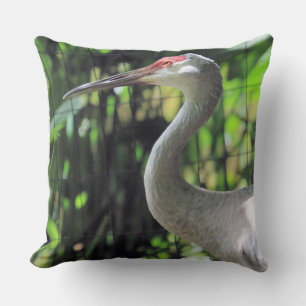 Sandhill crane  cushion