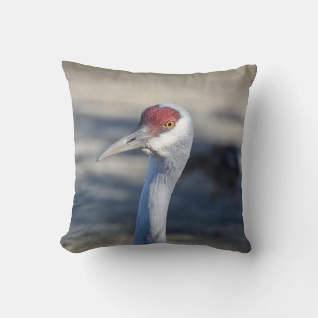 Sandhill Crane Cushion (Front)