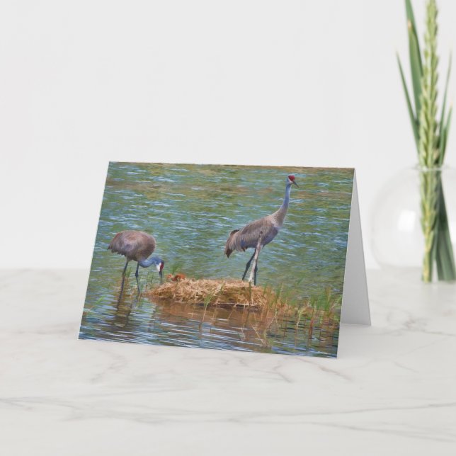 Sandhill Crane Family Note Card (Front)