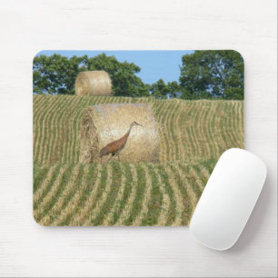 SANDHILL CRANE/FARM FIELD/ROUND BALES OF HAY MOUSE PAD