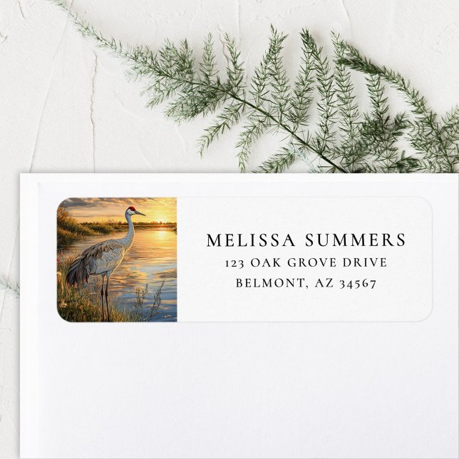 Sandhill Crane Florida Wetlands (Creator Uploaded)