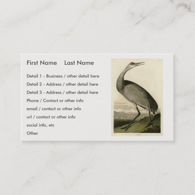 Sandhill Crane from Audubon's Birds of America Business Card (Front)