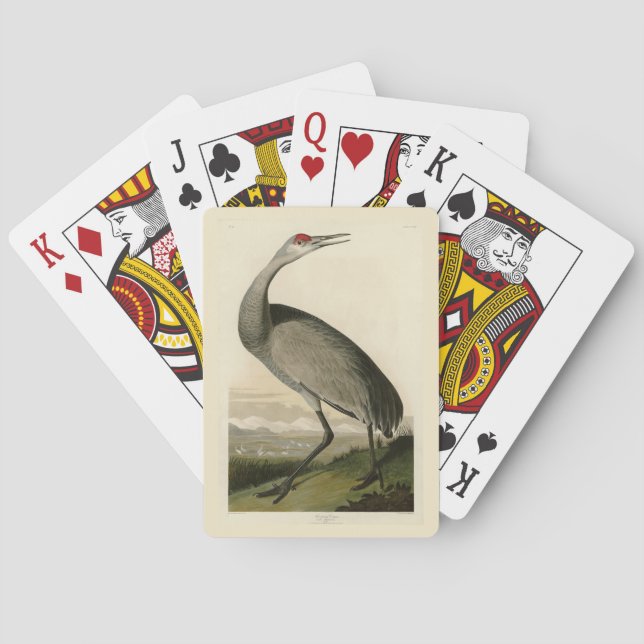 Sandhill Crane from Audubon's Birds of America Playing Cards (Back)