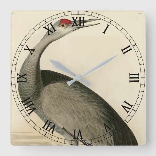 Sandhill Crane from Audubon's Birds of America Square Wall Clock (Front)