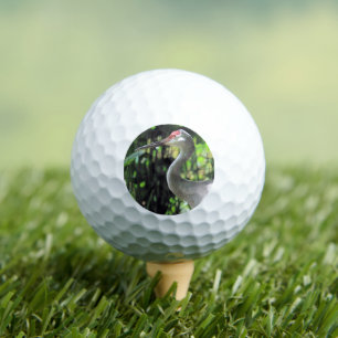 Sandhill crane golf balls