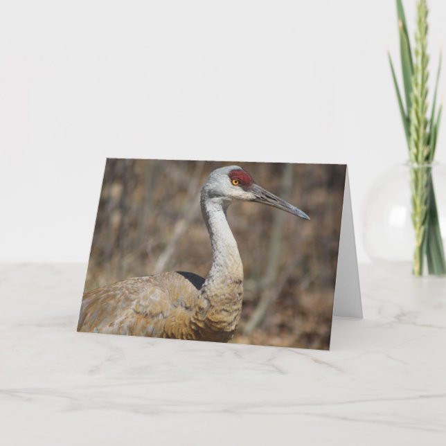Sandhill Crane Greeting card! Card (Front)