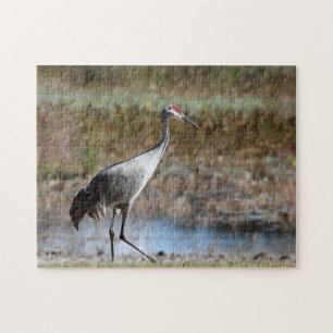 Sandhill Crane Jigsaw Puzzle