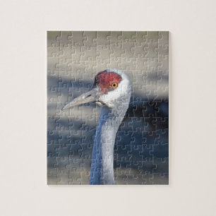 Sandhill Crane Jigsaw Puzzle