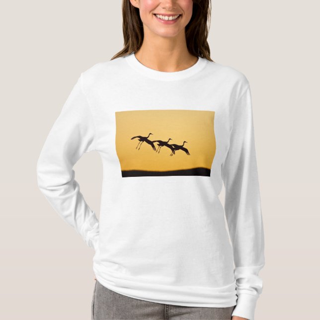 Sandhill Crane landing at sunset T-Shirt (Front)