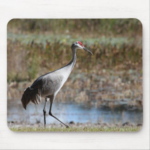 Sandhill Crane Mouse Pad