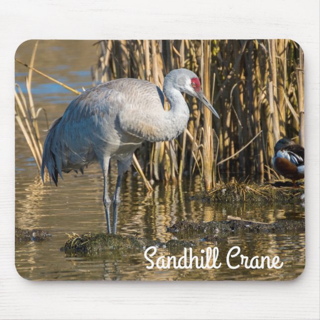 Sandhill Crane Mouse Pad (Front)
