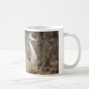 Sandhill Crane mug
