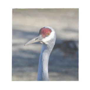 Sandhill Crane Notepad
