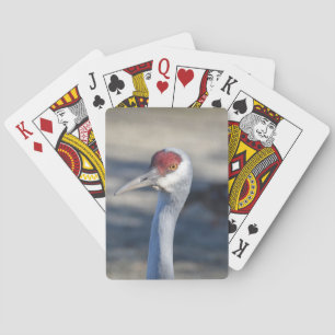 Sandhill Crane Playing Cards