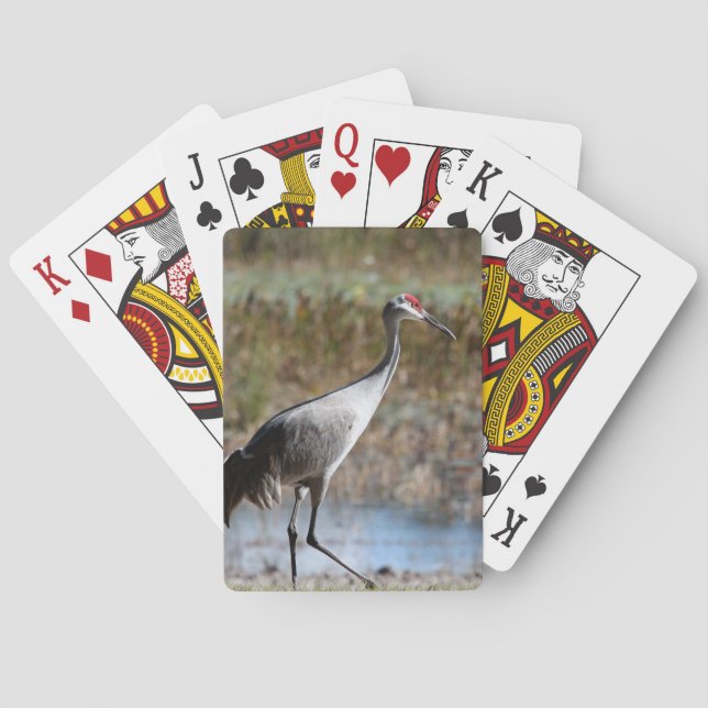Sandhill Crane Playing Cards (Back)