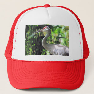 Sandhill crane trucker hat