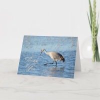 Sandhill Crane Wading Photo Thank You Card