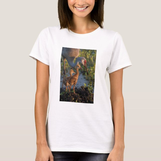 Sandhill crane with chicks, Florida T-Shirt (Front)