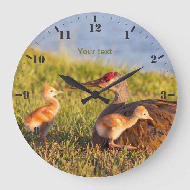 Sandhill crane with colts large clock (Front)
