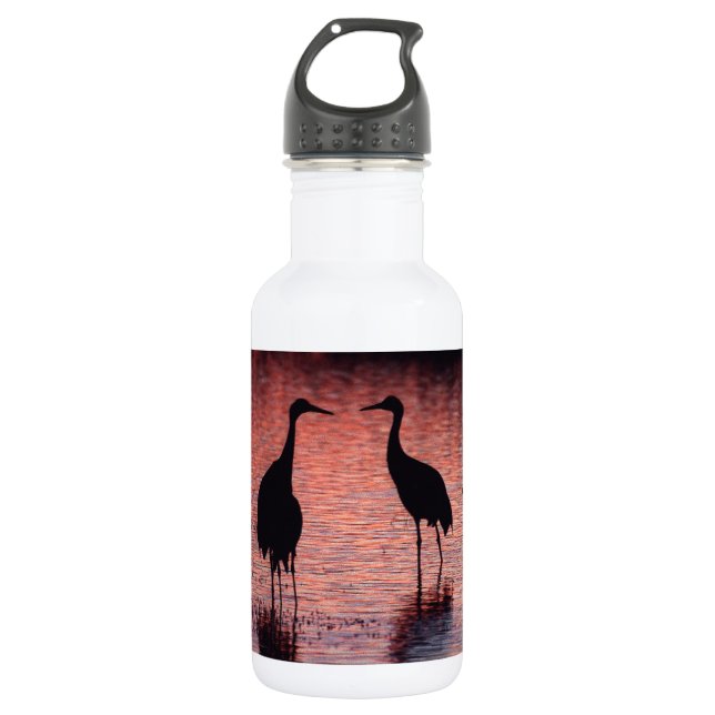 Sandhill cranes 532 ml water bottle (Front)