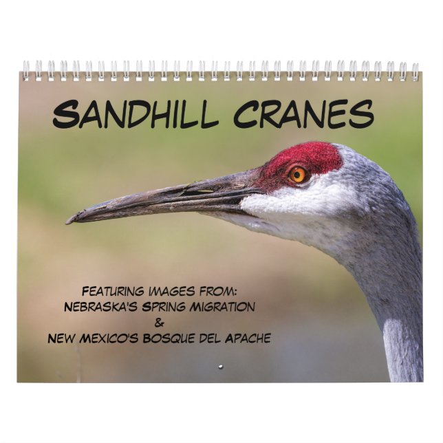 Sandhill Cranes Calendar (Cover)