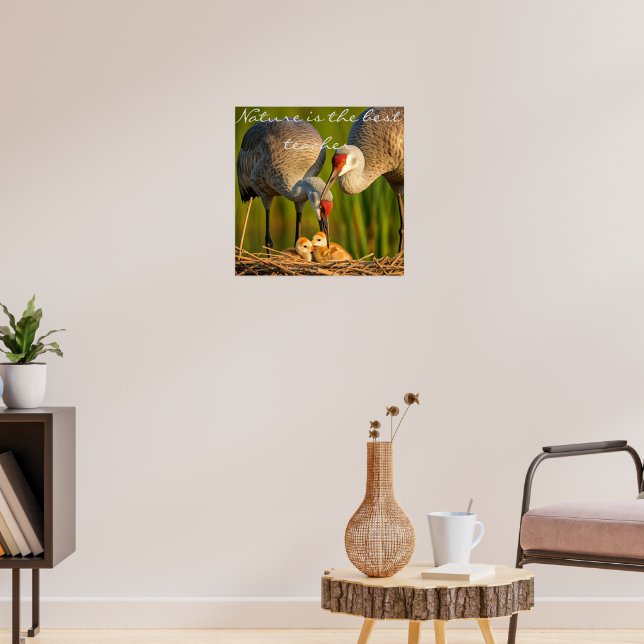  Sandhill Cranes Caring for Their Young" Wall Déco Poster (Living Room 3)