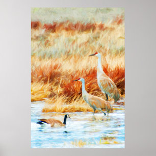 Sandhill Cranes & Goose Poster