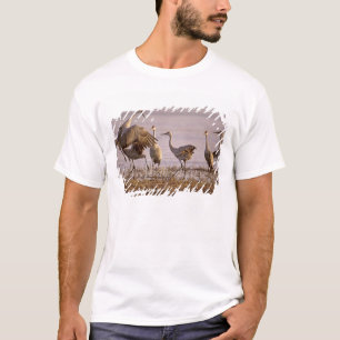 Sandhill Cranes Grus canadensis) Platte T-Shirt