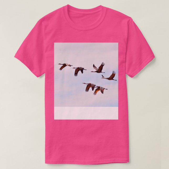 Sandhill Cranes Migration Nebraska Birdwatching T-Shirt (Design Front)