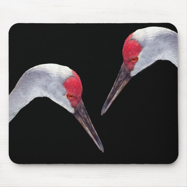 Sandhill Cranes Mouse Pad (Front)