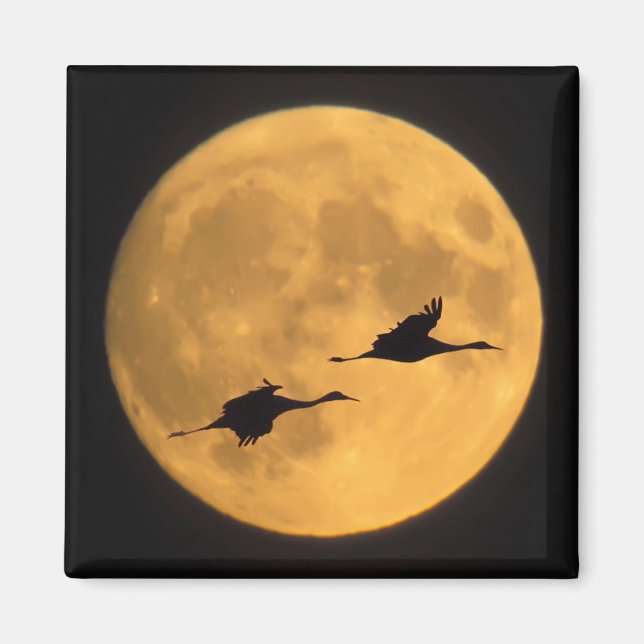 Sandhill Cranes | National Wildlife Reserve Magnet (Front)