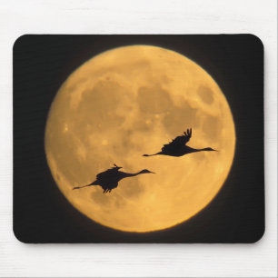 Sandhill Cranes   National Wildlife Reserve Mouse Pad