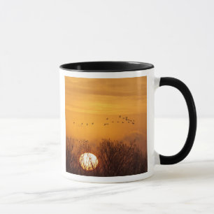 Sandhill cranes silhouetted aginst rising sun mug