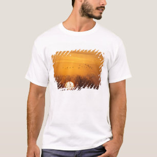Sandhill cranes silhouetted aginst rising sun T-Shirt