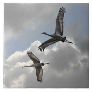 SANDHILL CRANES TILE