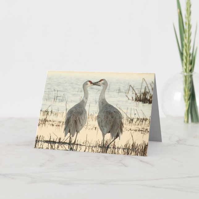 Sandhill Cranes Valentine card (Front)