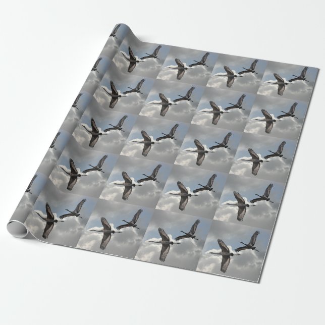 SANDHILL CRANES WRAPPING PAPER (Unrolled)