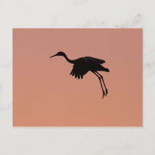 Sandhill silhouette on a pink sunset sky postcard
