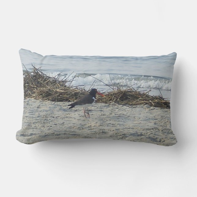 Sandpiper Bird Pillow at the beach. (Front)