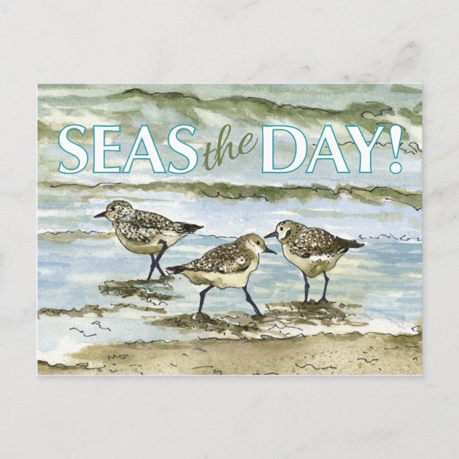 Sandpiper birds beach watercolor postcard (Front)