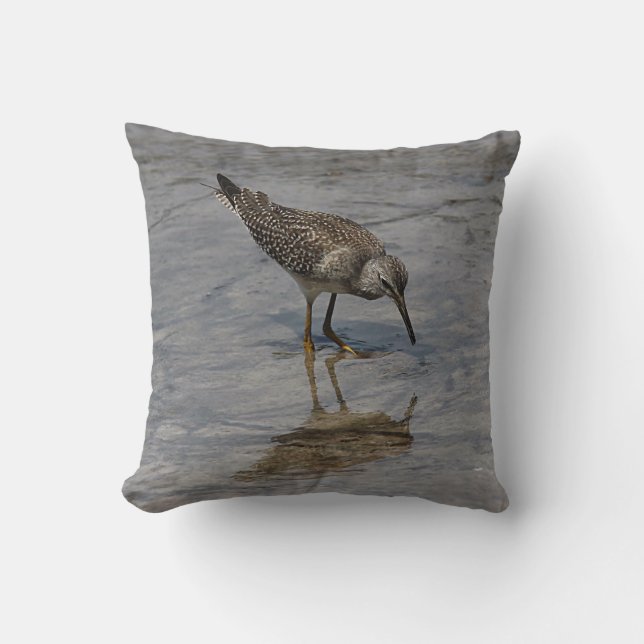 Sandpiper Cushion (Front)