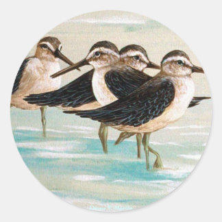 Sandpiper Family Classic Round Sticker
