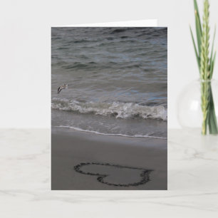 Sandpiper in Love Card
