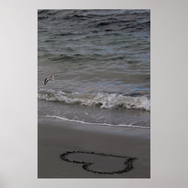 Sandpiper in Love Poster (Front)